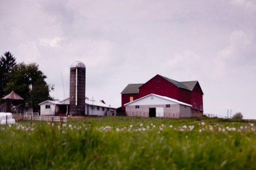 ohio field landscape farm amish softfocus 52weeksinthespc usa585892