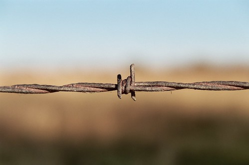 film canon wire country rustic rusty bluesky barbedwire manmade barbwire barbed ruleofthirds filmphotography