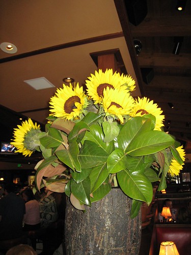 napa, calistoga, rutherford grill, sunflowers IMG_2685