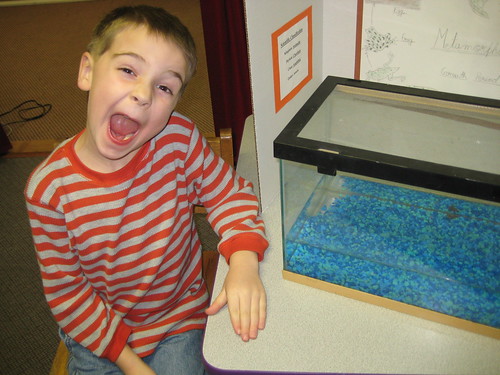 Jesse and his science fair project on Frogs