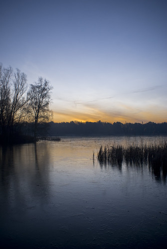 nature water sunrise frozen nederland thenetherlands eindhoven freeze brabant plas noordbrabant plassen karpendonk karpendonkseplas