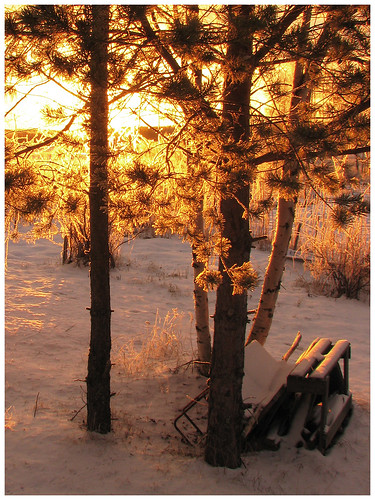 winter snow sunshine sunrise sweden sverige skellefteå anderstorp skelleftea skellafteå