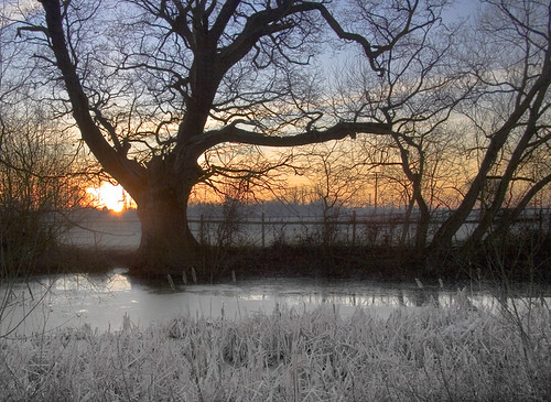 winter water sunrise frost littlehallingbury
