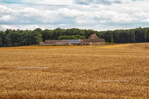blue sky food cloud nature farmhouse season landscape bakery agriculture foodanddrink scenics ete ruralscene beautempsadiversarchitectureetbatimentscliquericipoursaisirdesmotsclésconstructionsprivéescultureofwheatedificesreligieuxfermelieuxtracteurtransportsabbayeabbeyalentourbassenormandiebléchampsculturedeblédieufarmfieldf