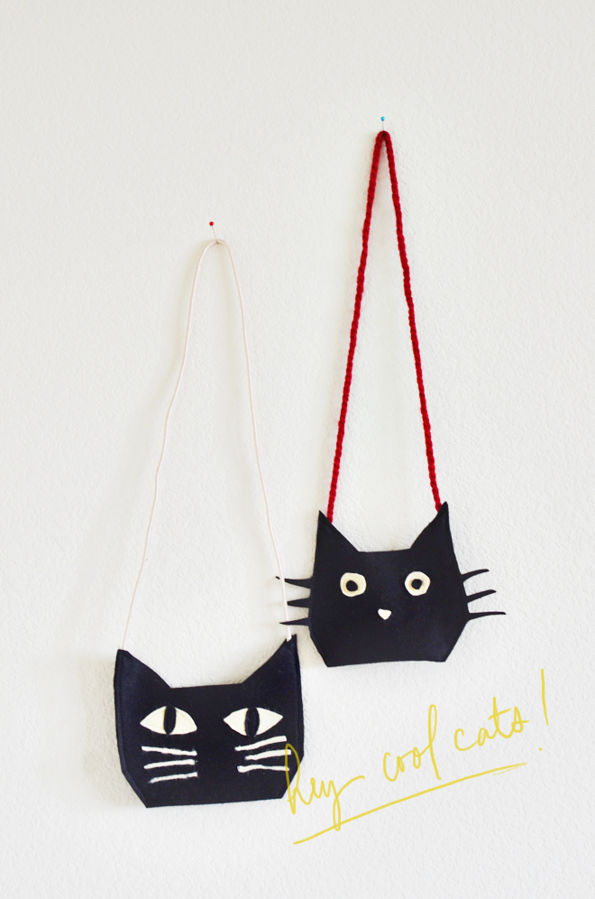a cat bag