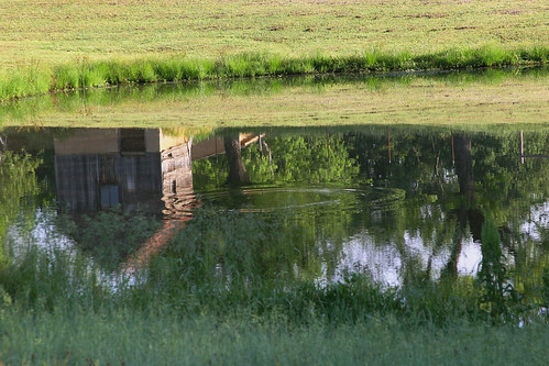 reflection green barn spring pond arkansas ripples nebo