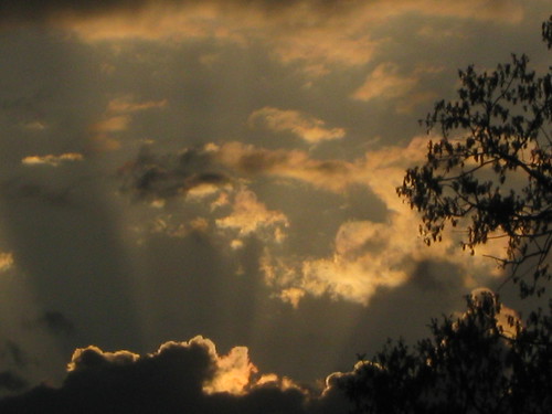 light sunset sky brown sun tree weather sepia clouds day cloudy arkansas rays sunbeams benton
