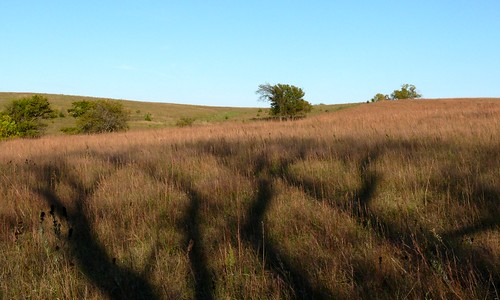 shadow lumix nebraska shadows panasonic lincoln prairie denton lincolnnebraska fz50 springcreekprairie dmcfz50 dentonnebraska spingcreek springcreekprairieaudoboncenter
