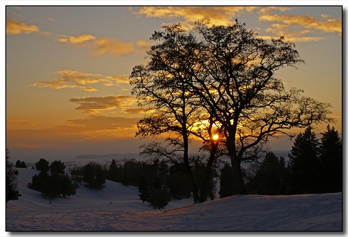 winter sunset snow tree moscow idaho golfcourse universityofidaho palouse karmapotd karmapotw aplusphoto