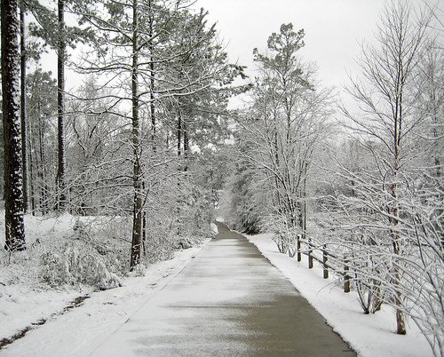 road winter white snow cold weather mississippi south driveway southernlife