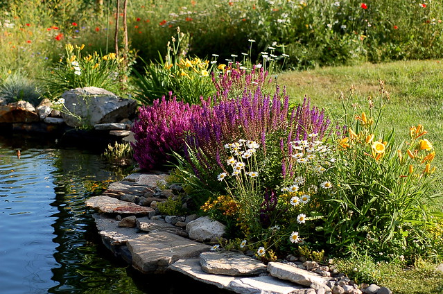 Landscaping around the Pond | Flickr - Photo Sharing!
