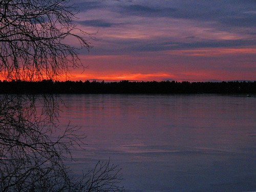 winter sunset orange lake ice nature suomi finland december branches oulu talvi luonto jää auringonlasku oranssi violetti joulukuu oksat flickrsbest platinumphoto kuivasärvi