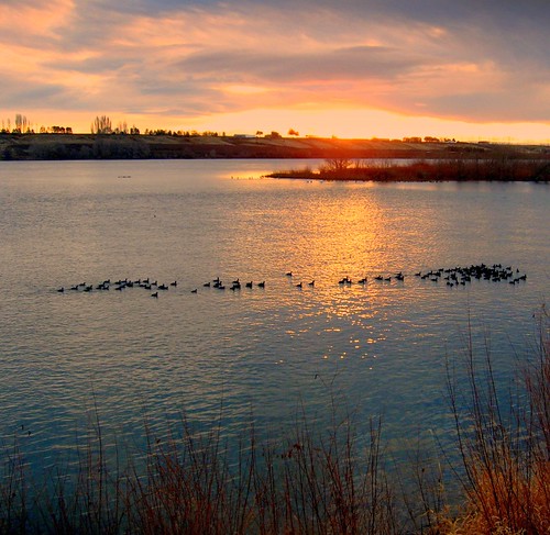 park reflection birds sunrise river landscape washington columbia leslie groves richland riverscape