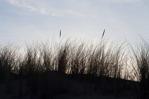 sunset sand dune oregondunesnationalrecreationarea