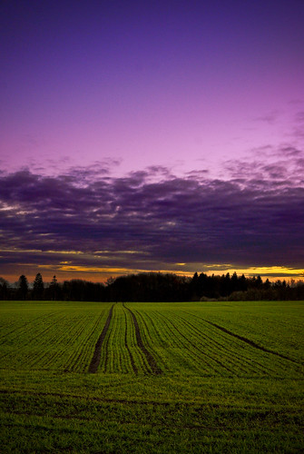 sunset sky colors field clouds denmark danmark lightroom capturenx aplusphoto hingeballe damörk