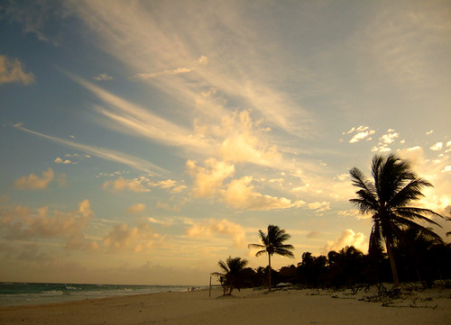 ocean travel sunset sea tree beach mexico coast sand paradise empty dream tulum tourist palm yucatán tropical caribbean davidniddrie