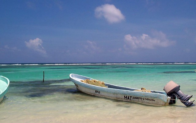 fishing in costa maya