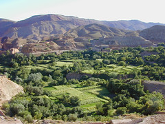 Up to Dades Gorge