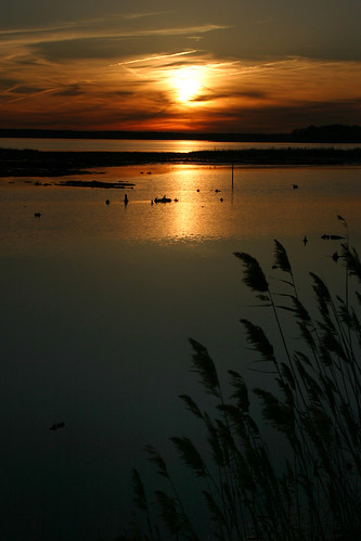sunset sun water maryland easternshore marsh blackwater chesapeake blackwaternationalwildliferefuge