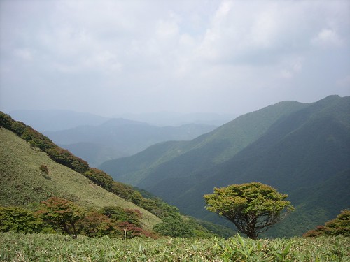 japan geotagged 竜ヶ岳 geo:lat=35120716 geo:lon=136445433