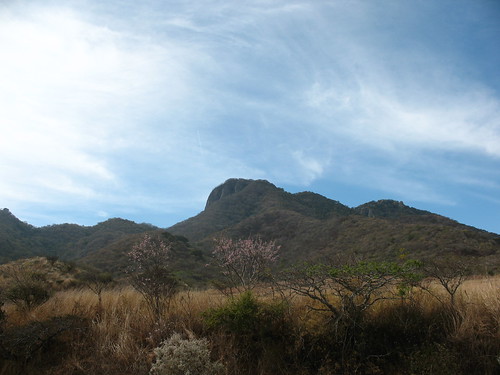 geotagged mexico carretera paisaje nayarit compostela cerros seco libre montañas cerrodelacampana geo:lat=21225692 geo:lon=104931943