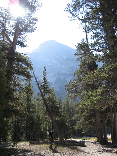ydnar at Tenaya Peak