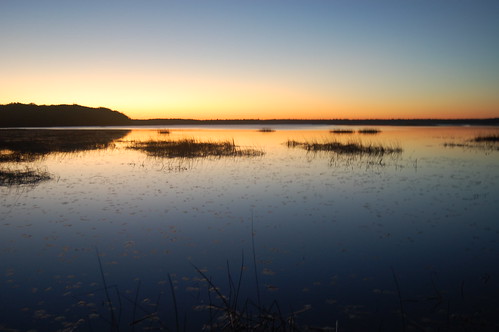 sunrise nightsky greatswamp wordenspond