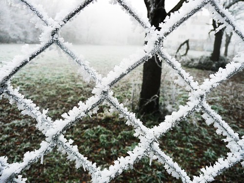 leica winter cold macro tree ice grass fence lumix crossing cross freeze johannes cristal urmitz panasonicdmctz3 oermserjung