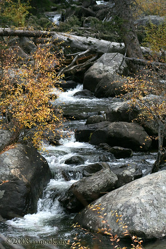 autumn creek river wyoming crazywoman nanookorg
