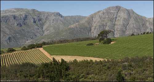 southafrica stellenbosch uvamira winery scenery landscape