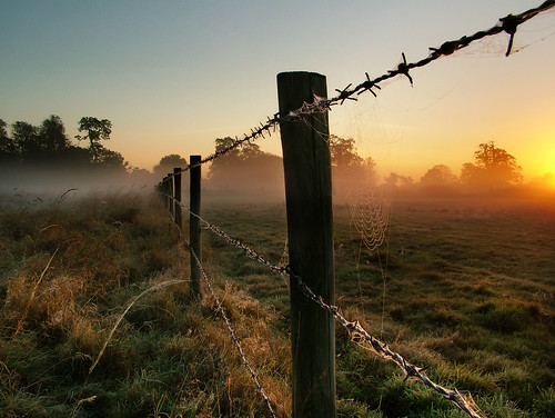 mist field sunrise fence dawn buckinghamshire cobweb barbedwire slough berkshire kevday cobwebs langleypark langleycountrypark