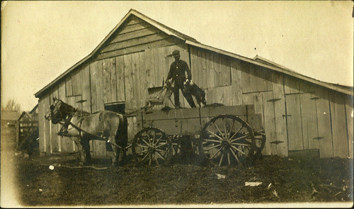 Man. dog. two horses and wagon