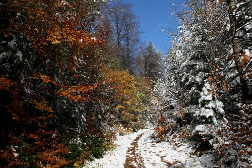 autumn snow geotagged gorce dzwjedziak geo:lat=4957655 geo:lon=20099487
