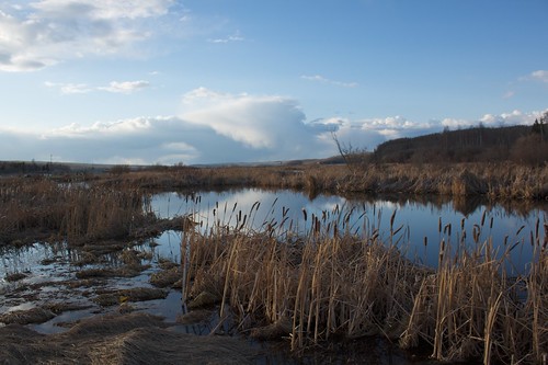 reeds marsh charlielake fishcreek efs1855mmf3556is