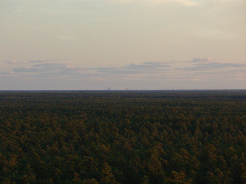 skyline atlanticcity pinebarrens whartonstateforest applepiehill