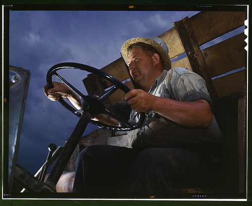 Truck driver at TVA's Douglas Dam, Tennessee  (LOC)