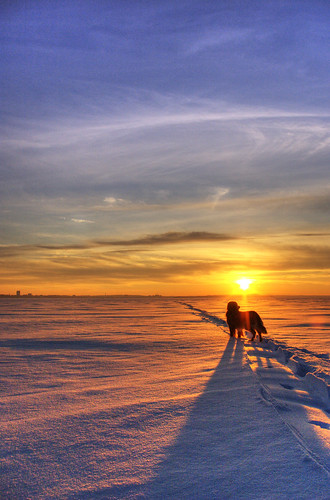 winter sunset shadow orange dog lake snow cold color ice wisconsin grace madison lakemendota maplebluff weatherphotography