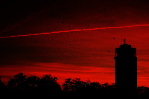 uk sunset red england sky black london birds silhouette clouds canon europe ixus hydepark kensington kensingtonandchelsea simoncrubellier bronly ixus70