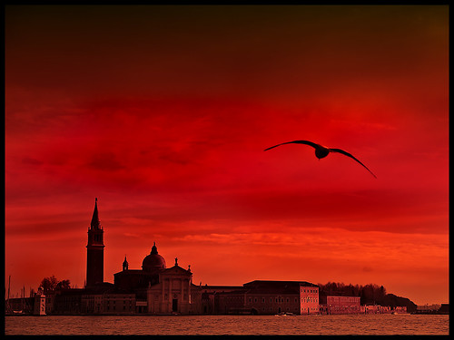 venice sunset red sky orange bird clouds bravo seagull olympus piazza sanmarco dorsoduro veneto giudecca themoulinrouge e400 winnr everyonelovesasunset