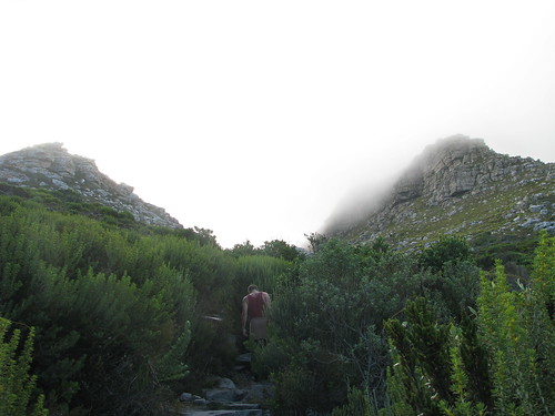 Looking up to Table Top Mountain from Kalk Bay