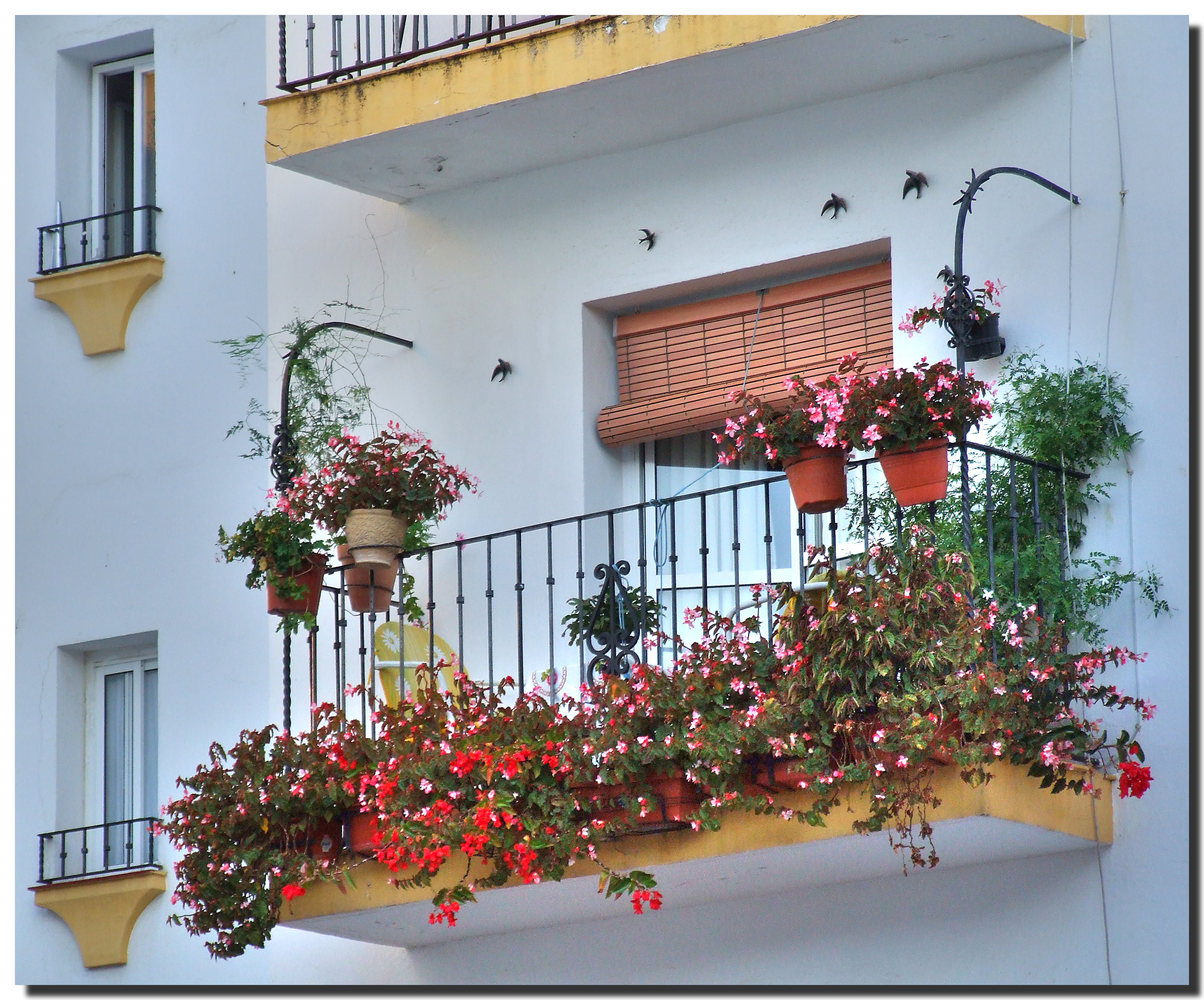 Как украсить балкон цветами.цветы для балкона..