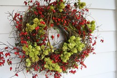 rosehips wreath