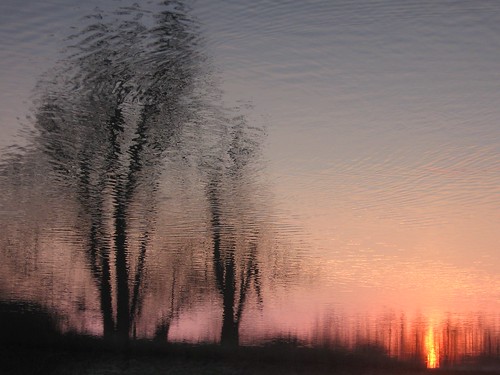 trees sun reflection sunrise ducks ouse hartford cambridgeshire huntingdon cambs