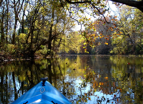 autumn reflection nature water river landscape outdoors fishing stream kayak dagger blackwater bigdarbycreek drainhook