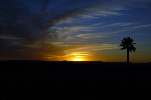 sunset sky sun silhouette clouds landscape palmtree temecula falknerwinery
