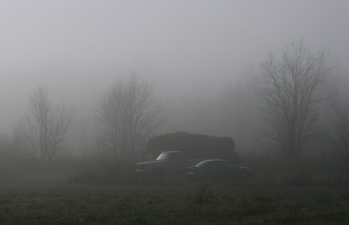 morning mist nature fog rural landscape nebel farm north scenic vehicles carolina pastoral
