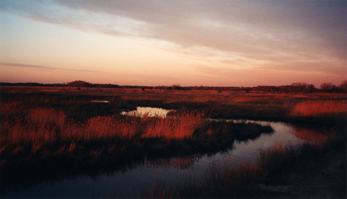sunset stream canon elph aps favorite nophotoshop nature gallery50 southjersey isthisart show burtongallery shown bayside marsh tower