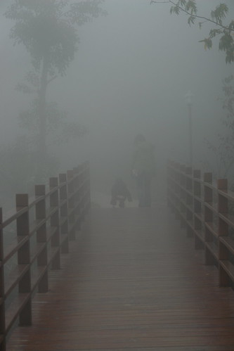 fog hsinchu taiwan 山上人家 wufeng cloudlayer 五峰 mountainviewresort