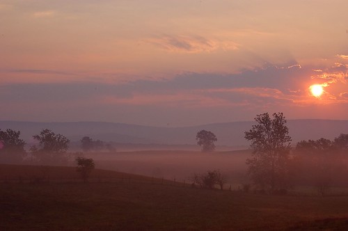 color fog sunrise d50 landscape virginia travels october honeymoon day farms smithfield berryville 2007 clarkecounty photofaceoffwinner pfogold