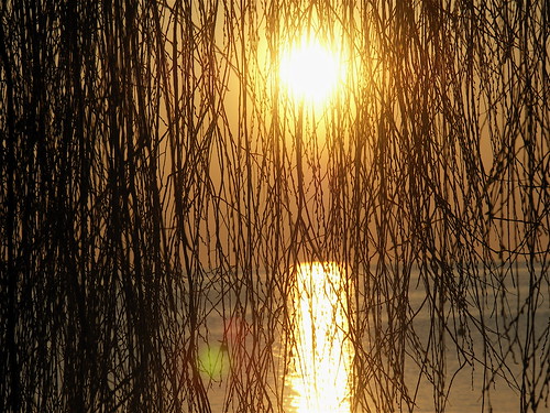 sunset sun lake reflection tree water soe blueribbonwinner abigfave anawesomeshot diamondclassphotographer ysplix onlythebestare